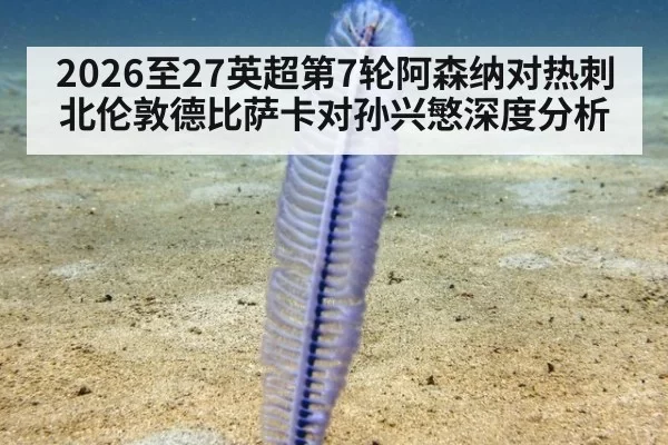 2026至27英超第7轮阿森纳对热刺北伦敦德比萨卡对孙兴慜深度分析
